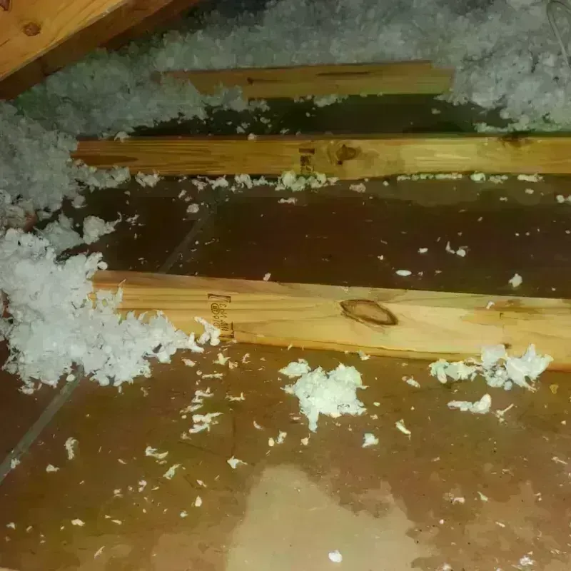 Attic Water Damage in Meriden, CT